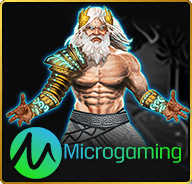 Microgaming